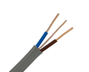 BS 6004